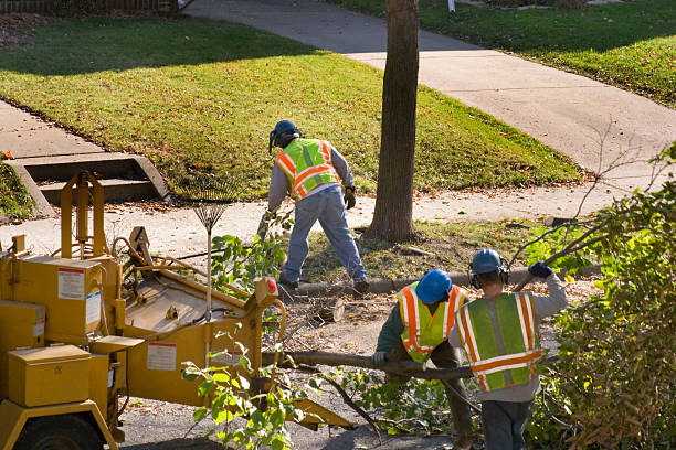 Best Tree Maintenance Programs  in Tahlequah, OK